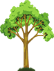 Árbol Maduro